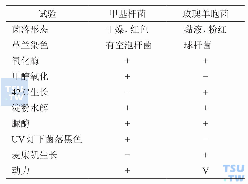甲基杆菌和玫瑰单胞菌怎样鉴别？