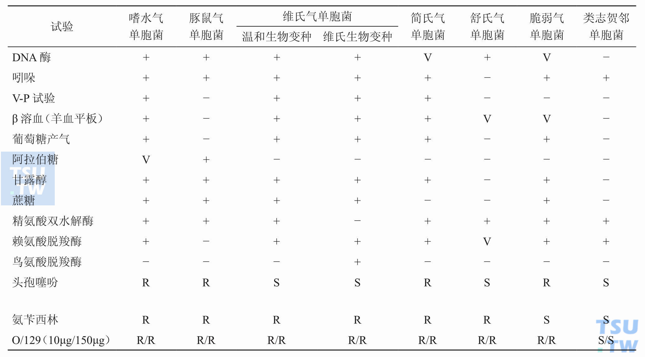 气单胞菌属内菌种以及与邻近菌属怎样鉴别？